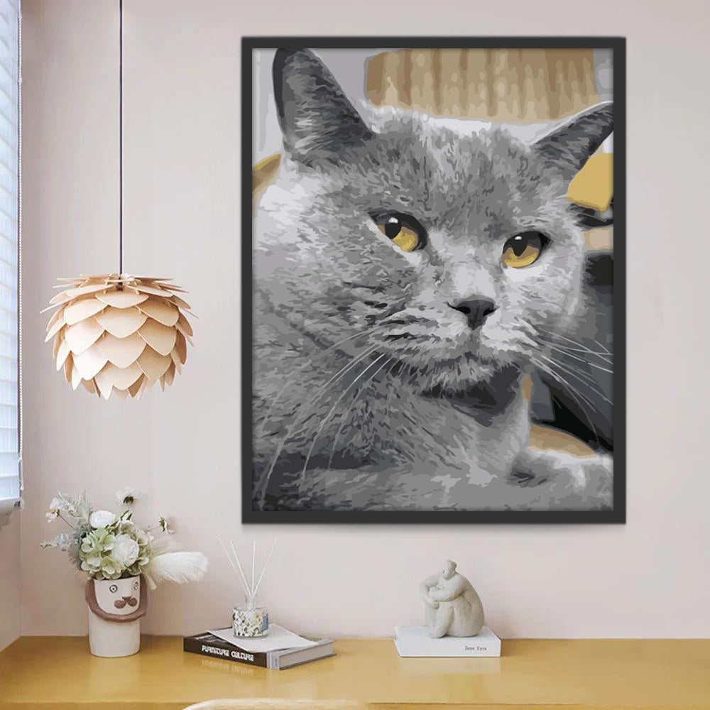 Gato Gris Pintar por Números