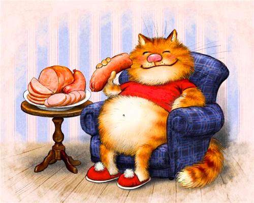 Gato Naranja Comiendo Salchicha Pintar por Números