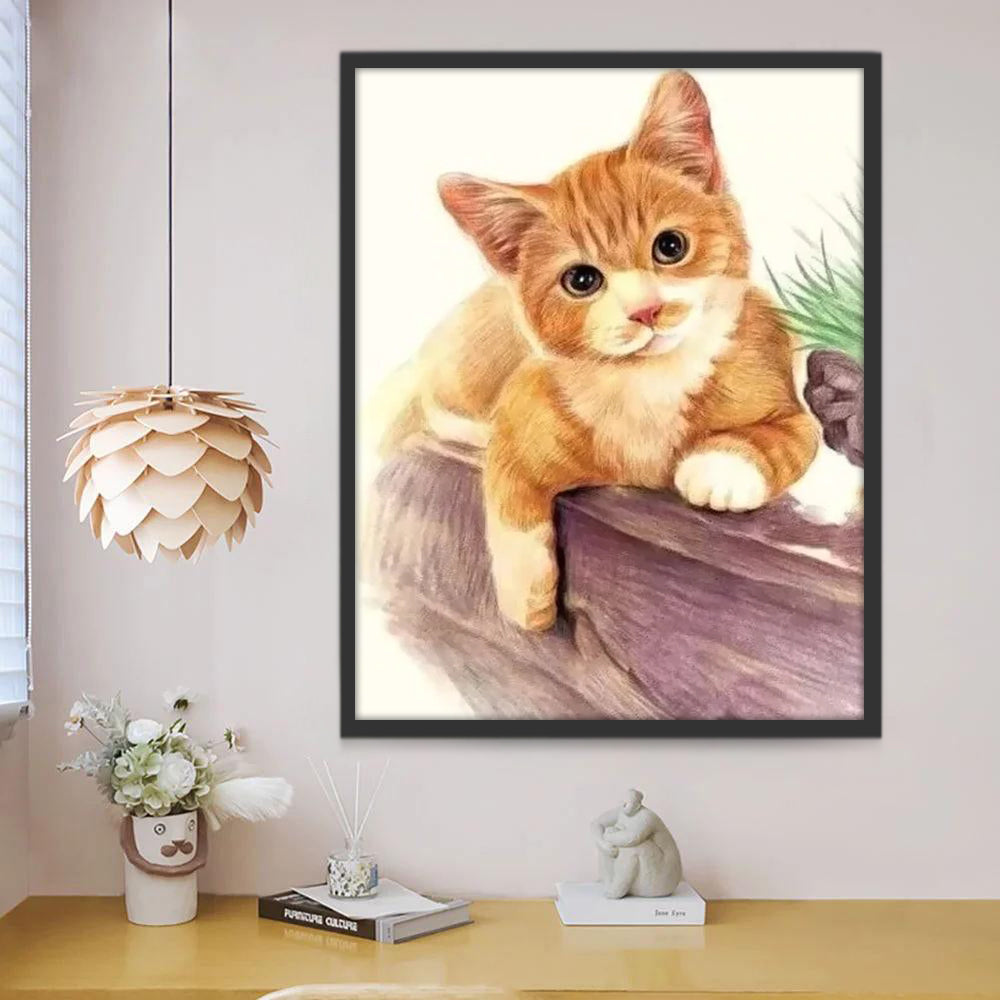 Gato Naranja Pequeño Pintar por Números