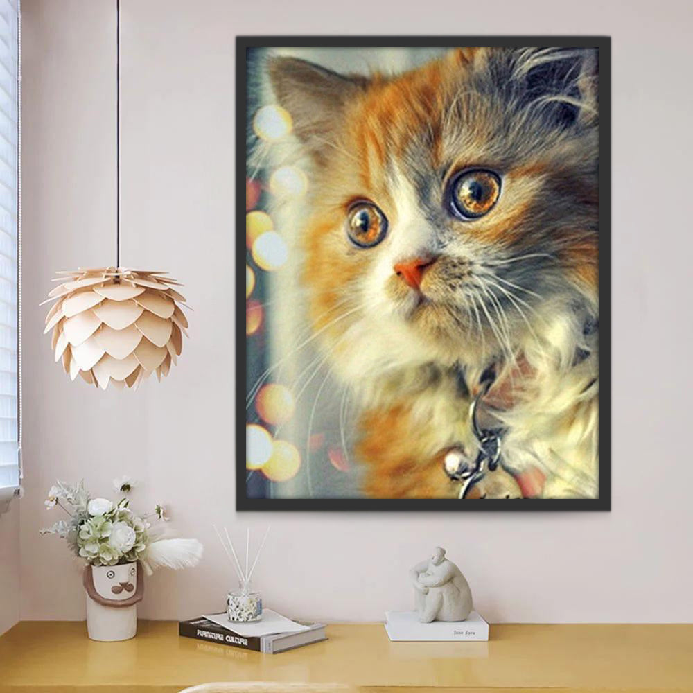 Gato Naranja Pintar por Números