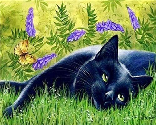 Gato Negro Acostado en el Césped Pintar por Números