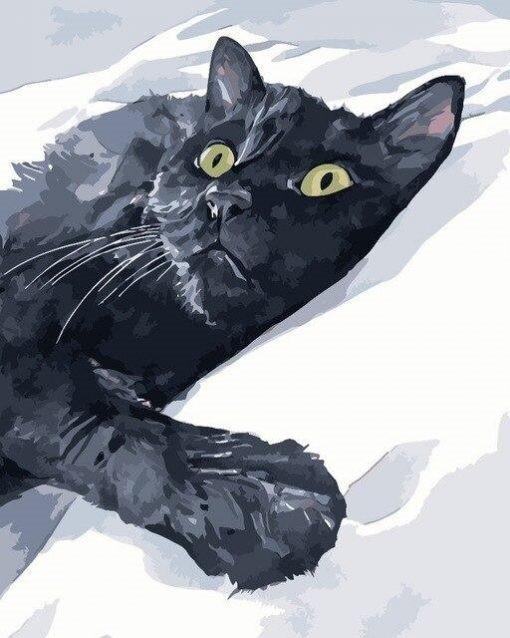 Gato Negro Acostado en la Manta Blanca Pintar por Números
