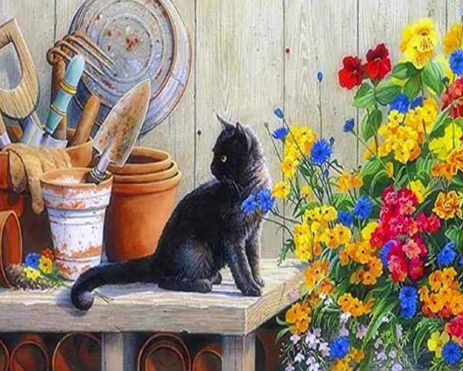 Gato Negro sobre la Mesa Pintar por Números