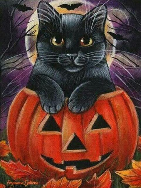 Gato Negro y Calabaza de Halloween Pintar por Números
