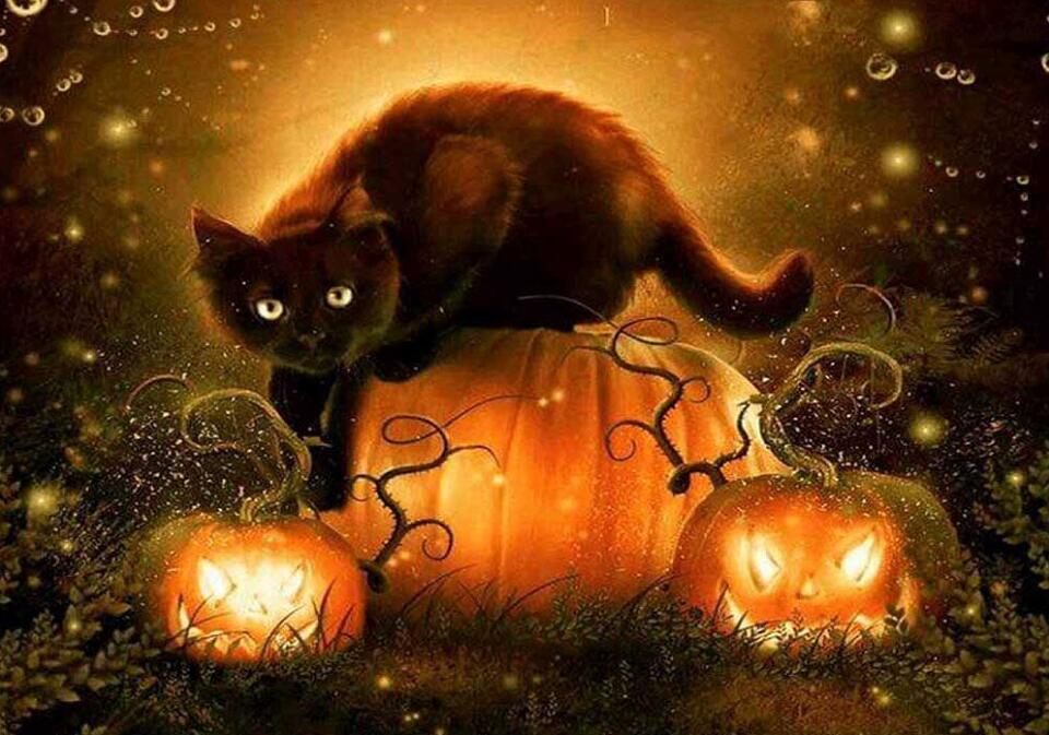 Gato Negro y Calabazas de Halloween Pintar por Números