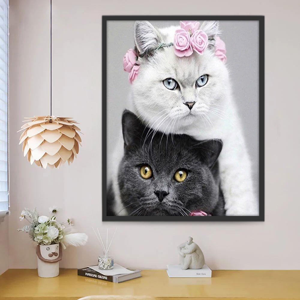 Gato Negro y Gato Blanco Pintar por Números