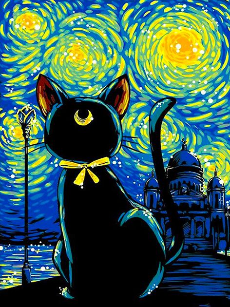 Gato Negro y La Noche Estrellada Pintar por Números