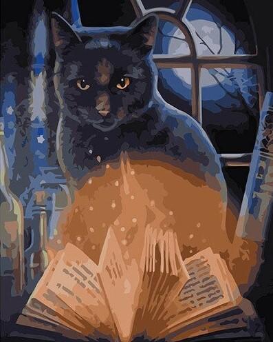 Gato Negro y Libro Abierto por la Noche Pintar por Números