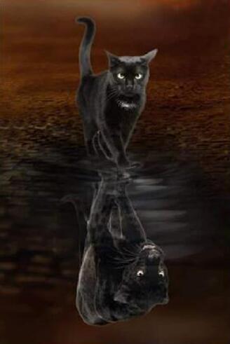 Gato Negro y Su Reflejo como Tigre en el Agua Pintar por Números