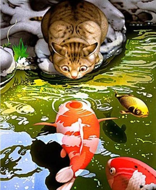 Gato Observando la Carpa Koi en el Agua Pintar por Números