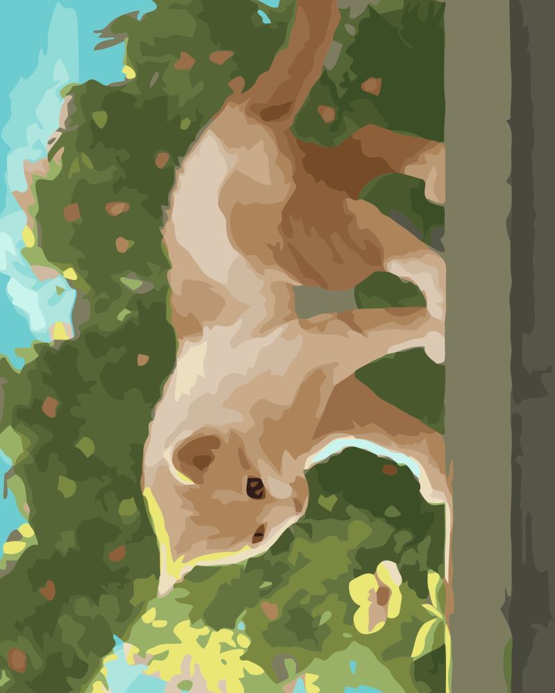 Gato Observando una Flor Pintar por Números