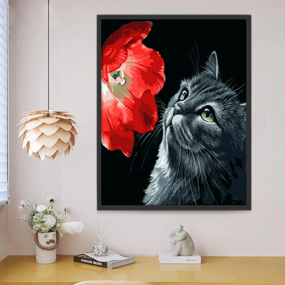 Gato Observando una Flor Roja Pintar por Números