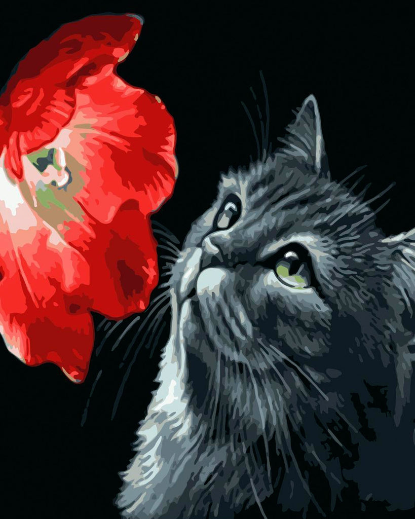 Gato Observando una Flor Roja Pintar por Números