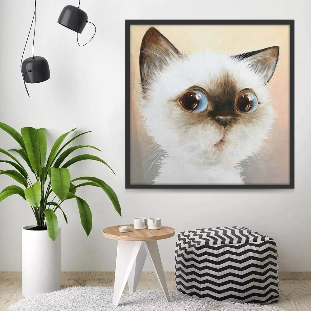 Gato Pequeño con los Ojos Redondos Pintar por Números