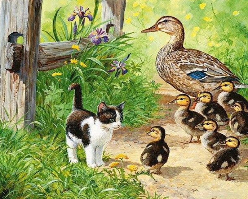 Gato Pequeño y Madre Pata y Patitos Pintar por Números