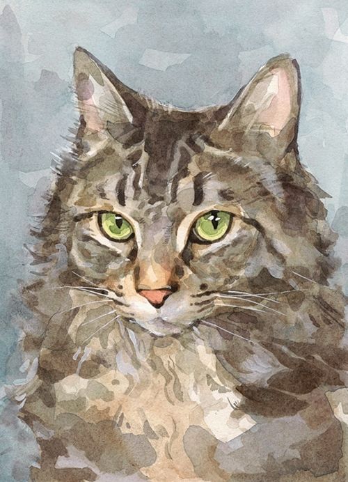 Gato Pintado de Acuarela Pintar por Números