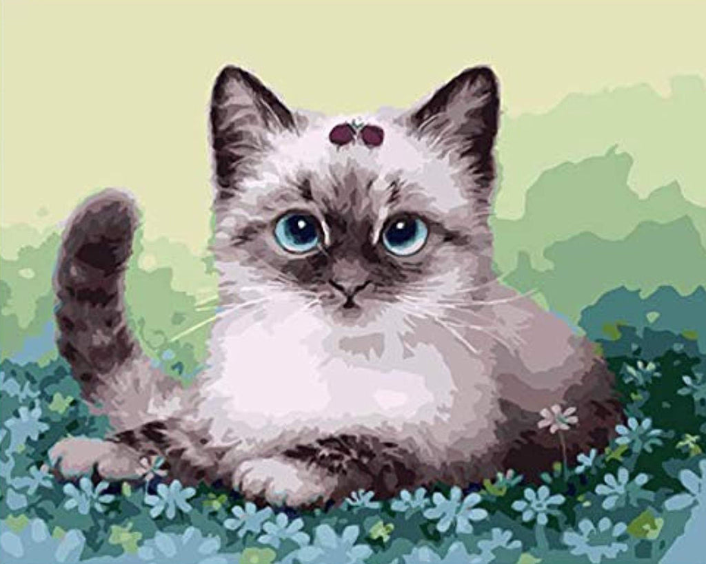 Gato Sentado en el Césped de Flores Pintar por Números