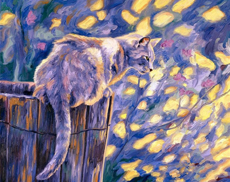 Gato Sentado sobre un Balde de Madera Pintar por Números