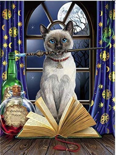 Gato Siamés con una Varita Mágica en Su Boca Pintar por Números