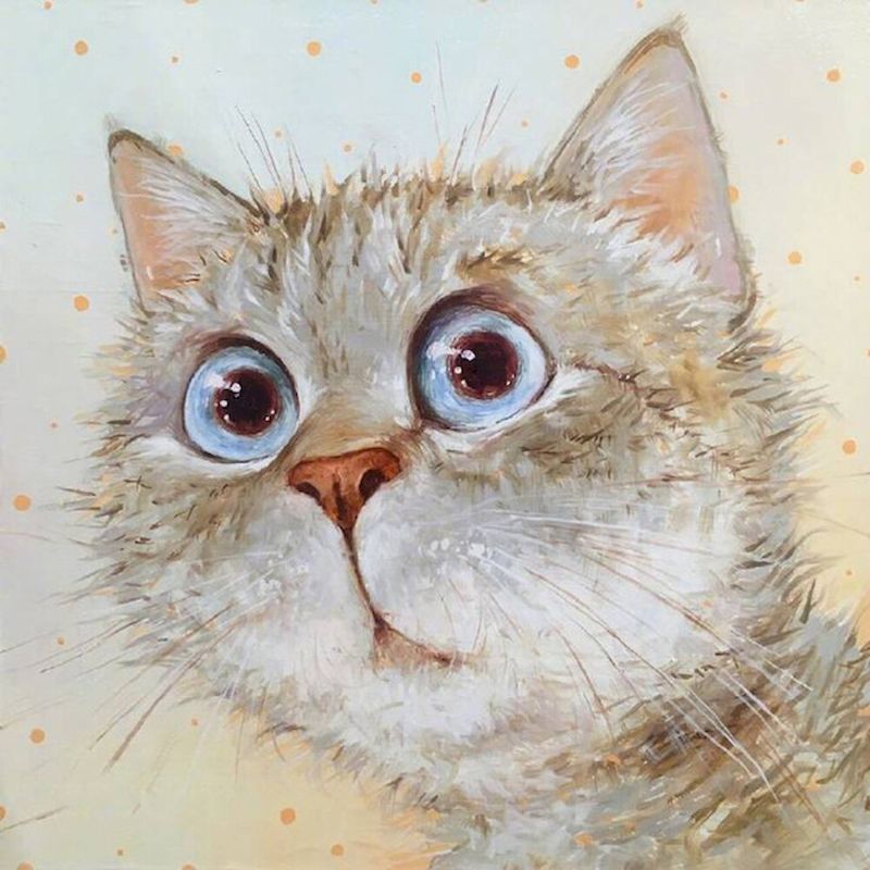 Gato Sorprendido con Sus Ojos Grandes Pintar por Números