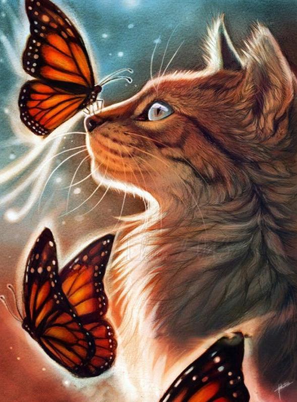Gato Tocando Las Mariposas con Su Nariz Pintar por Números