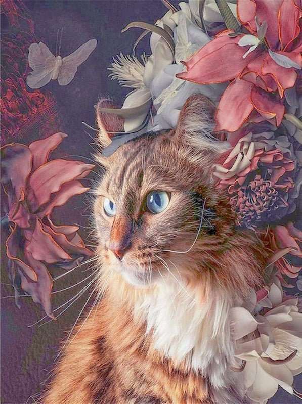 Gato y Las Azucenas Pintar por Números