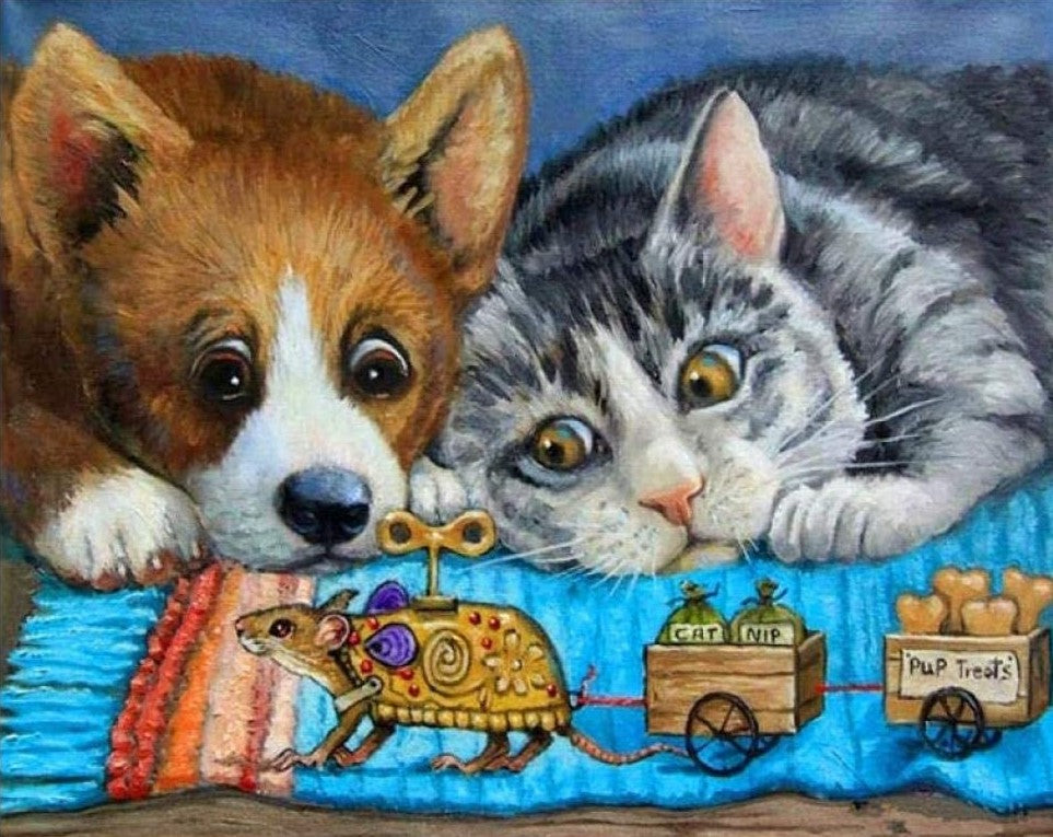Gato y Perro Mirando un Juguete Pintar por Números