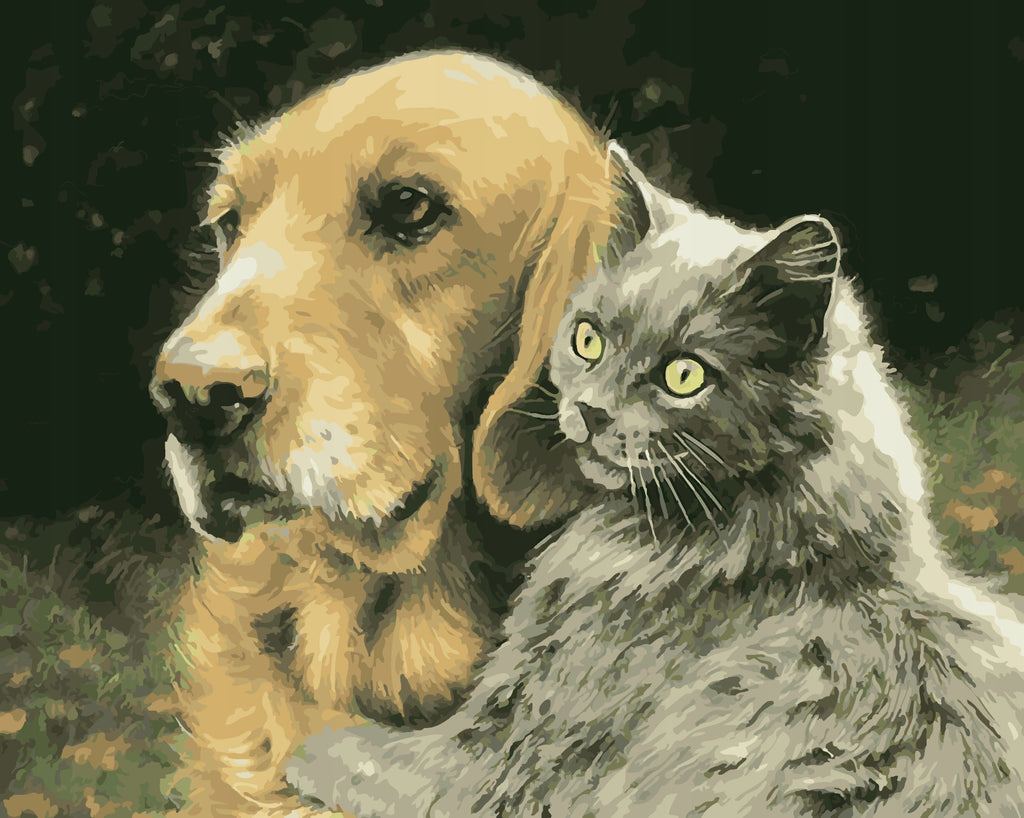 Gato y Perro Sentados Juntos Pintar por Números