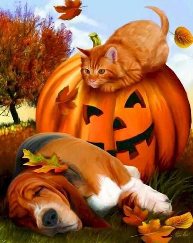 Gato y Perro y Calabaza de Halloween Pintar por Números