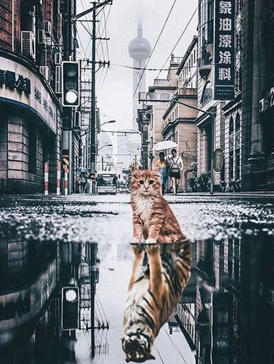 Gato y Tigre en el Agua de la Calle Pintar por Números
