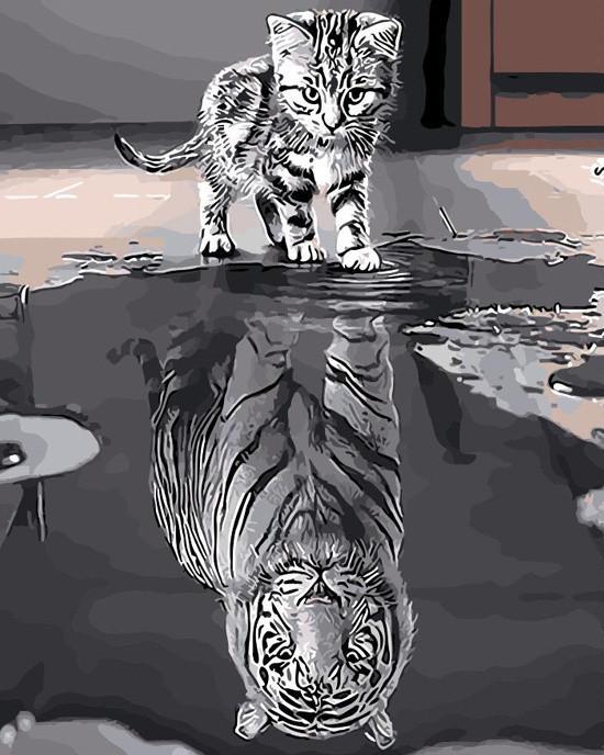 Gato y Tigre en el Agua Pintar por Números