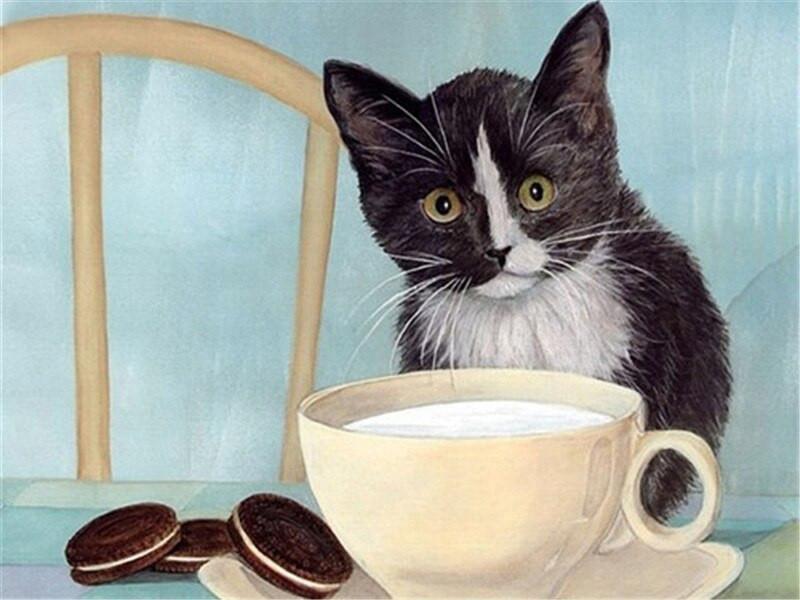 Gato y una Taza de Leche Pintar por Números