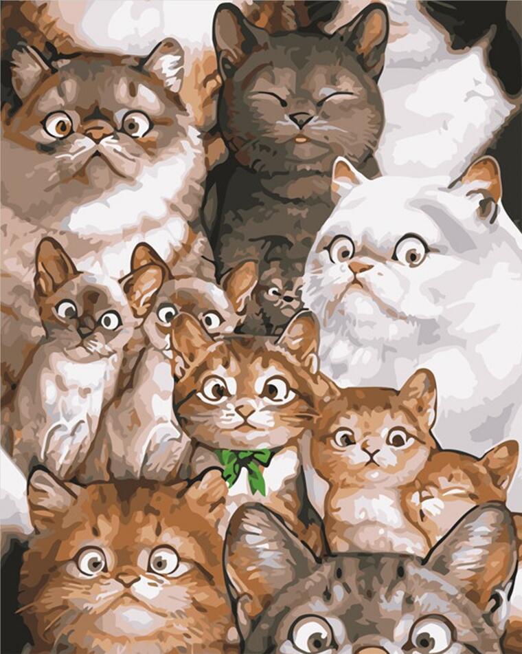 Gatos y Gatitos Pintar por Números
