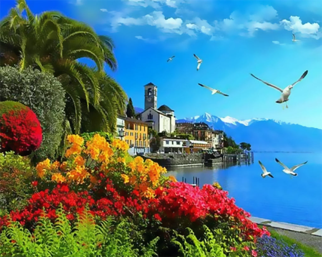 Gaviotas y Plantas y Ciudad Costera Pintar por Números