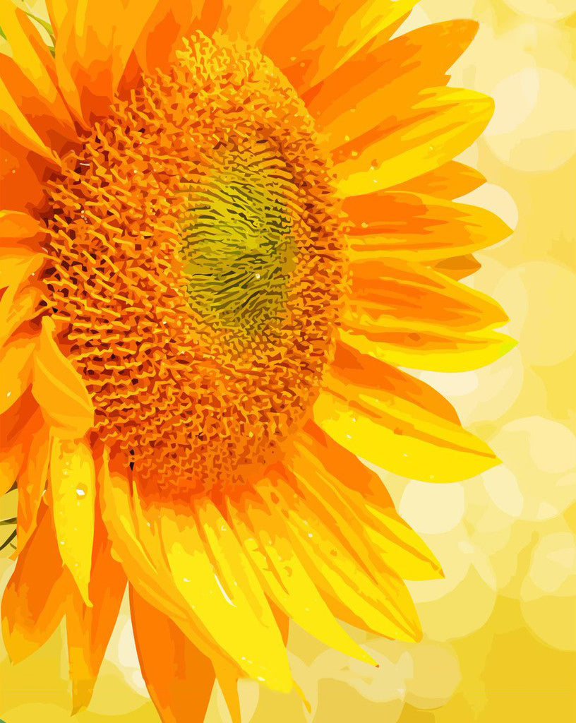 Girasol Bonito con Gotas de Agua Pintar por Números