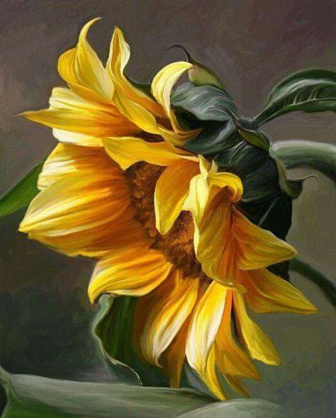 Girasol con Fondo de Color Oscuro Pintar por Números