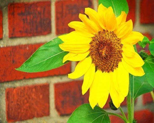 Girasol con Fondo de Pared de Ladrillos Rojos Pintar por Números