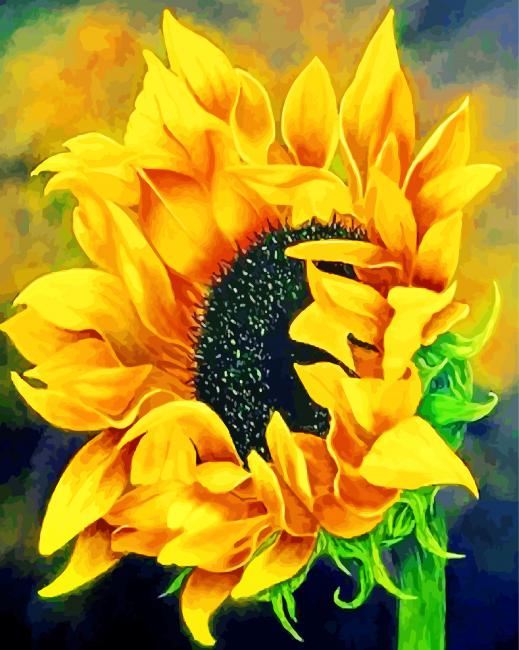 Girasol en el Fondo Amarillo y Azul Pintar por Números