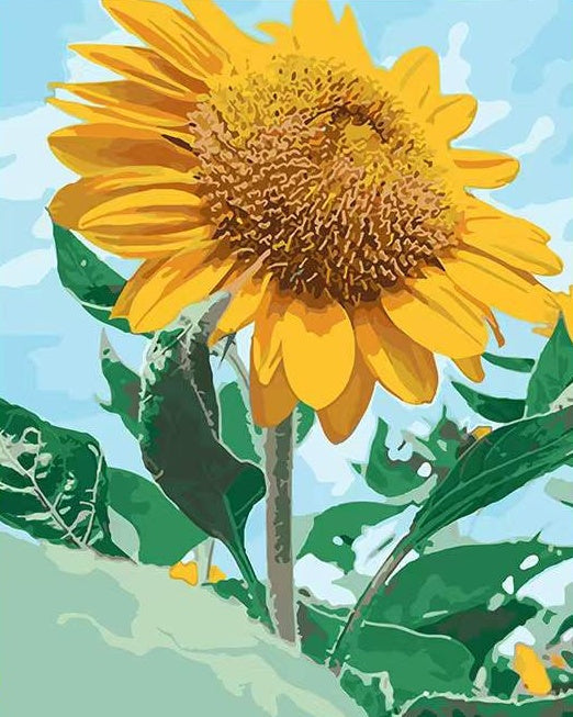 Girasol Hermoso Mirando el Cielo Azul Pintar por Números