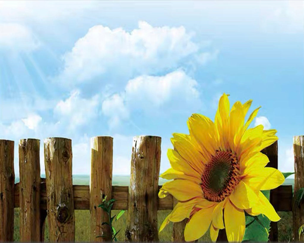 Girasol y Empalizada y Cielo Azul con Nubes Blancas Pintar por Números
