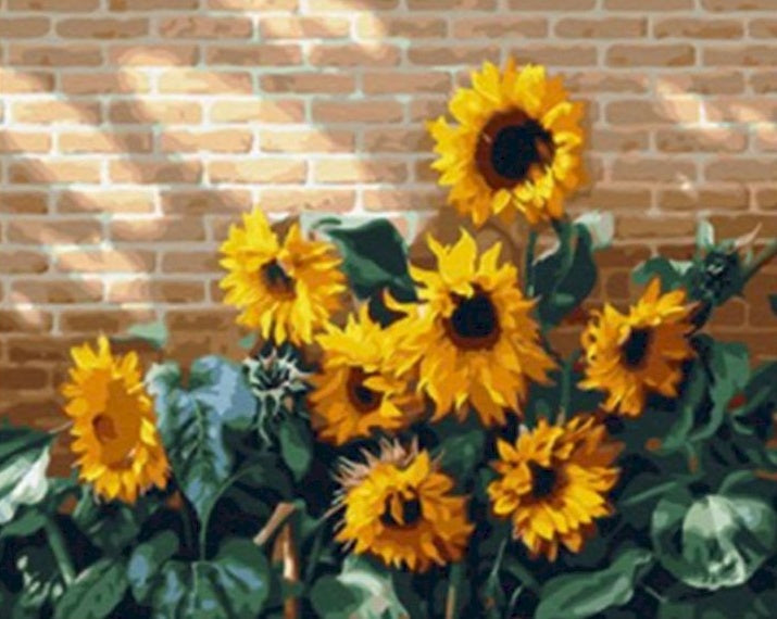 Girasoles al Sol Junto con Pared de Ladrillos Pintar por Números