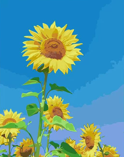 Girasoles Altos con Fondo Azul Degradado Pintar por Números