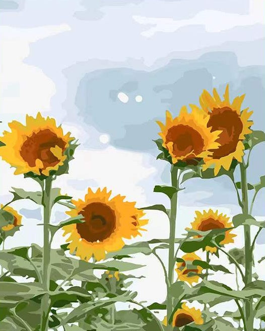 Girasoles Altos con Fondo Azul y Blanco Pintar por Números