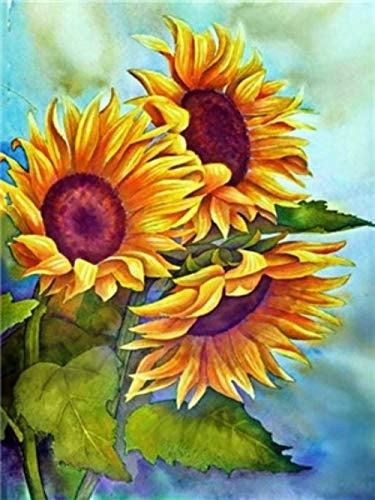 Girasoles con Fondo Azul de Acuarela Pintar por Números