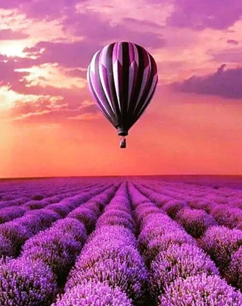 Globo Aerostático y Campo de Lavanda Pintar por Números