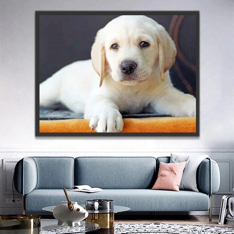 Golden Retriever del Perrito Pintar por Números