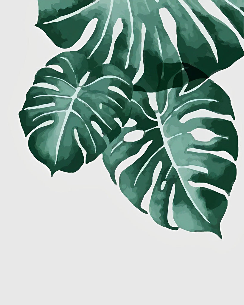 Grandes Hojas Verdes de la Planta Tropical Monstera Deliciosa Pintar por Números