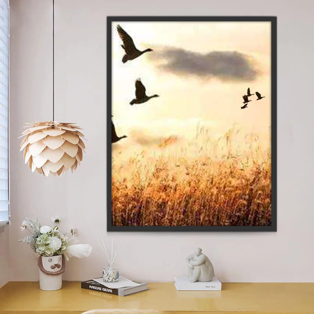 Grupo de Aves Ánsar en el Cielo Pintar por Números