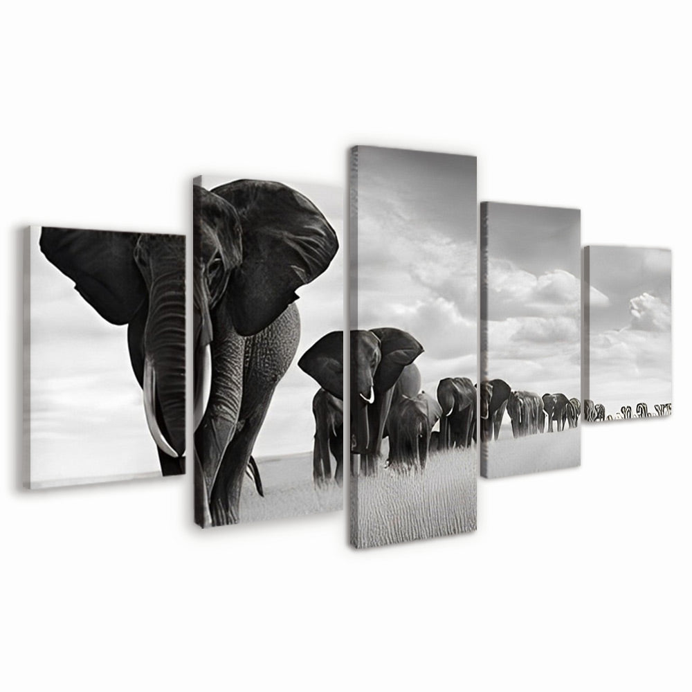 Grupo de Elefantes en Blanco y Negro 5 Partes Pintar por Números