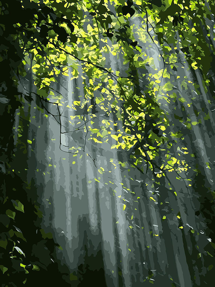Hojas Verdes al Sol en el Bosque Oscuro Pintar por Números
